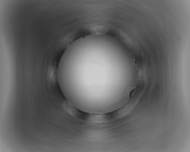 X0000110920671200906251419