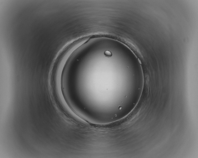 X0000110920676200906251418