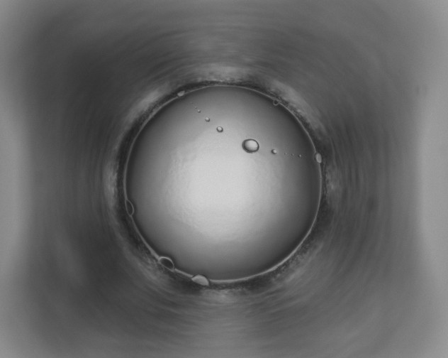X0000110920679200906251418