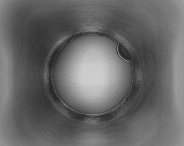 X0000110920680200906251418