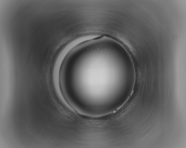 X0000110920681200906251418