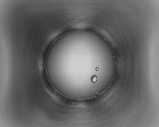 X0000110920683200906251418