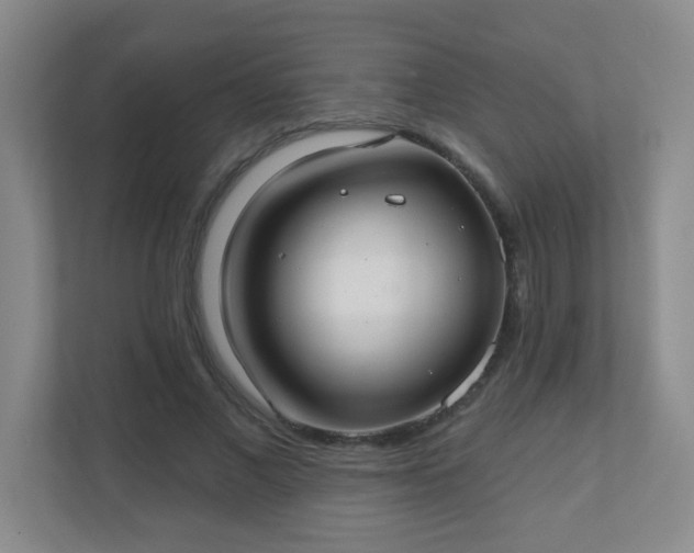 X0000110920685200906251418