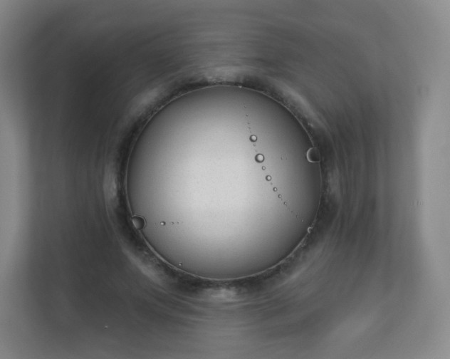 X0000110920687200906251418