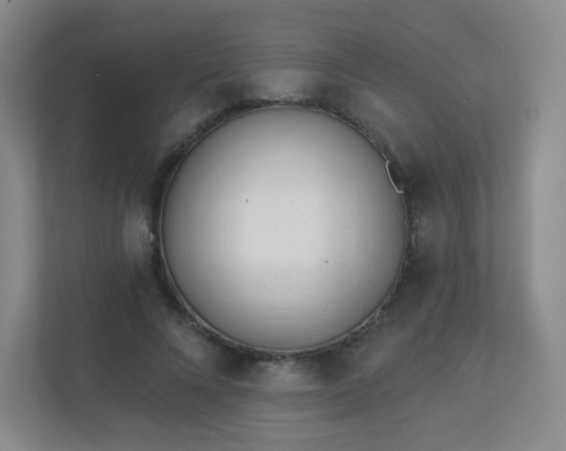 X0000110920688200906251418