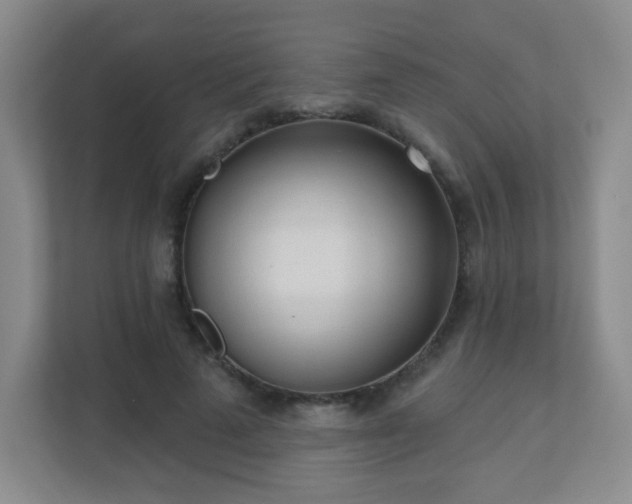 X0000110920689200906251418