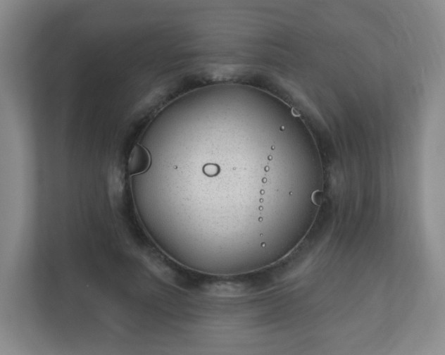 X0000110920691200906251418