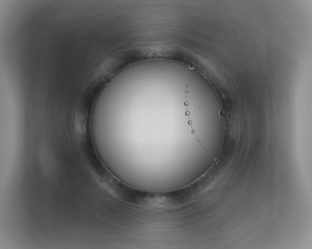 X0000110920695200906251418