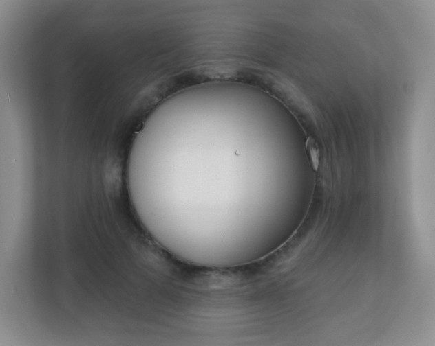 X0000110920697200906251418
