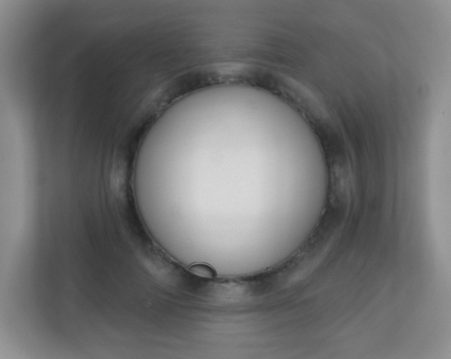 X0000110920698200906251418