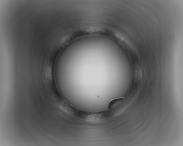 X0000110920700200906251418