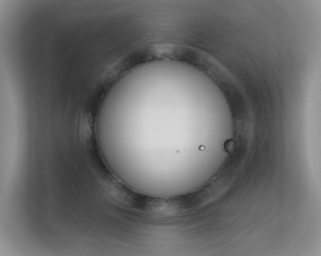 X0000110920702200906251418