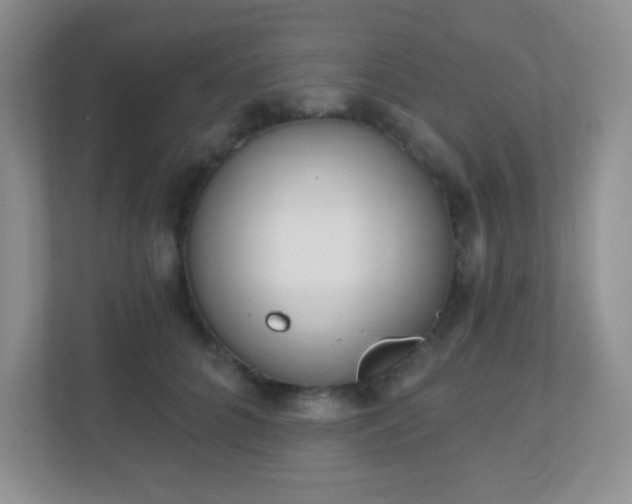 X0000110920704200906251418
