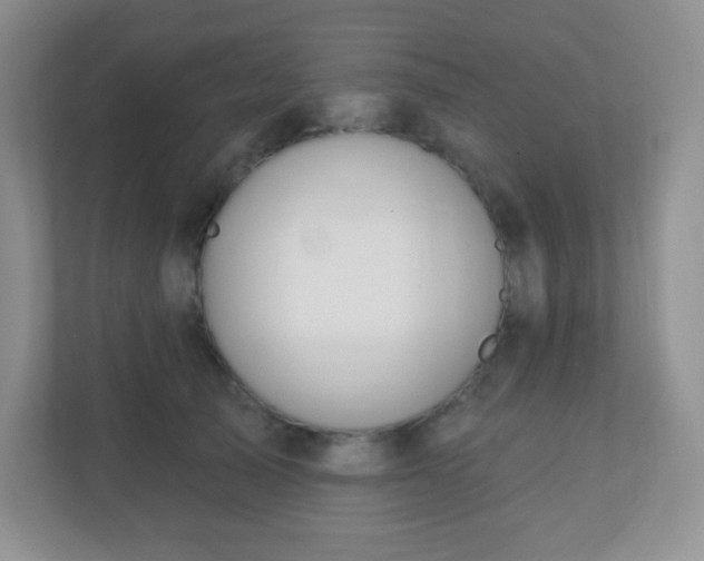 X0000110920705200906251418