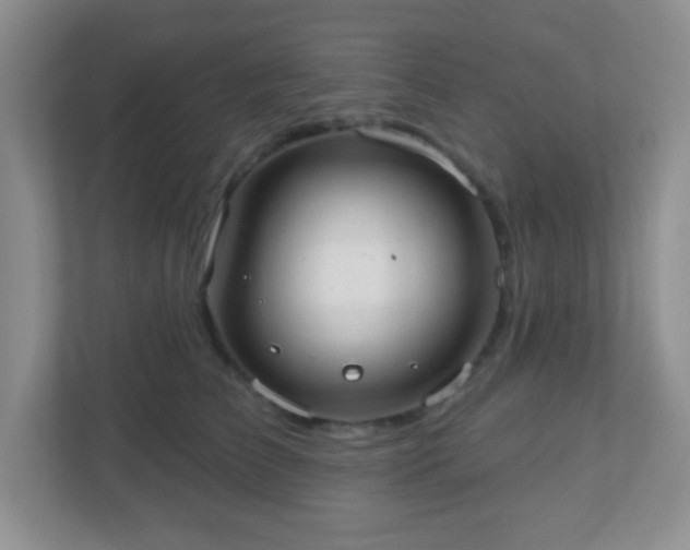 X0000110920709200906251418