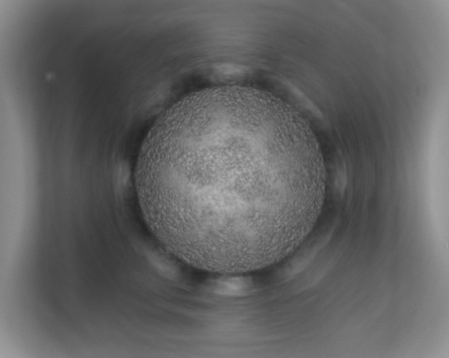 X0000110920711200906251418