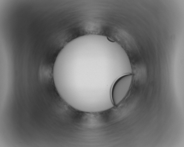 X0000110920713200906251418