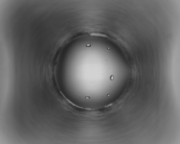 X0000110920716200906251418