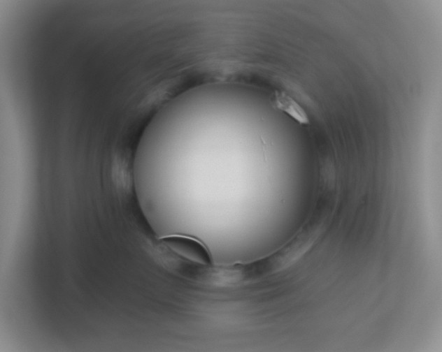 X0000110920719200906251418