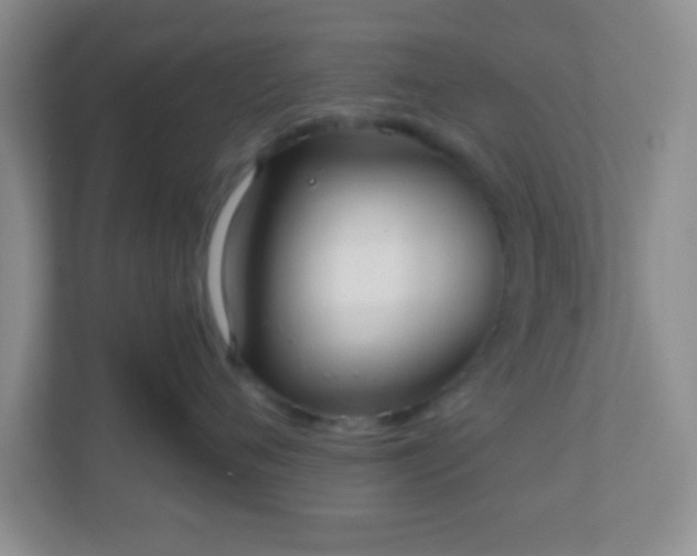 X0000110920720200906251418