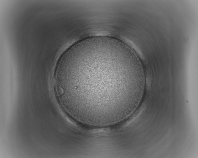 X0000110920721200906251417