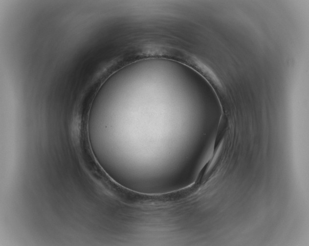 X0000110920722200906251417