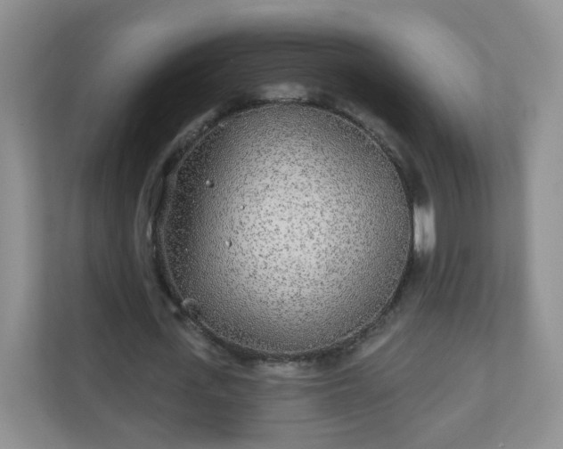 X0000110920723200906251417