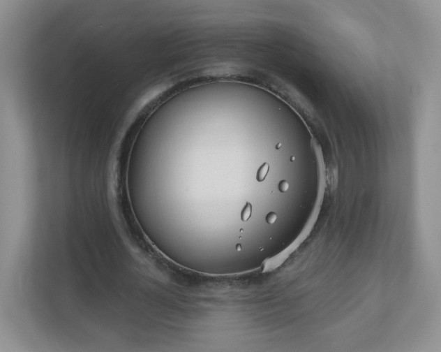 X0000110920724200906251417