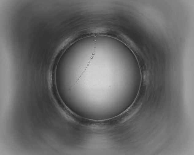 X0000110920725200906251417