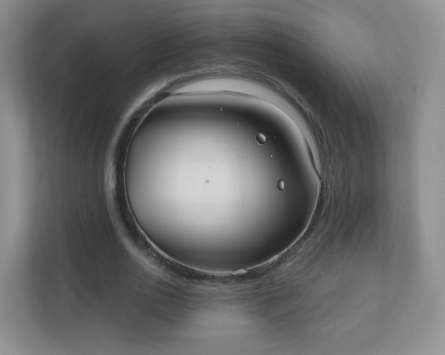 X0000110920726200906251417