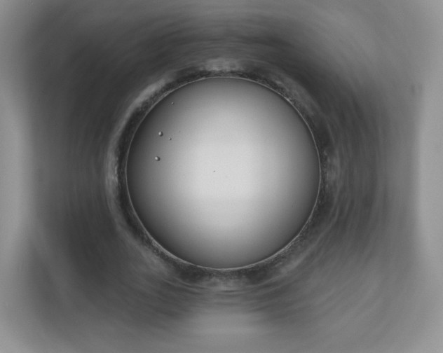 X0000110920727200906251417