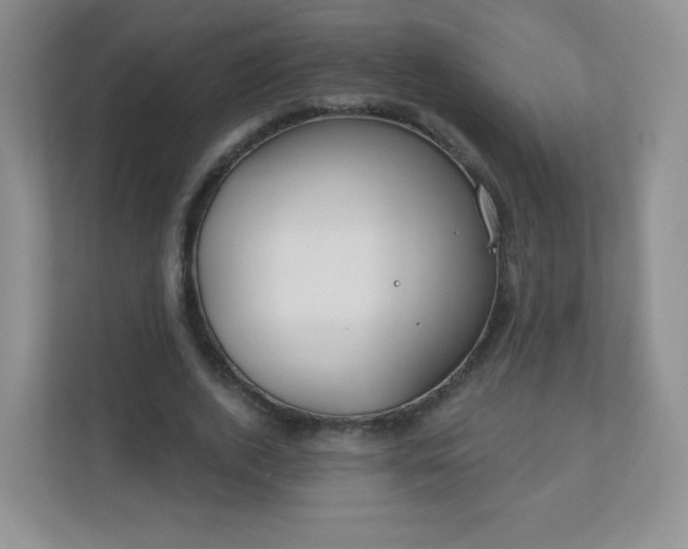 X0000110920728200906251417