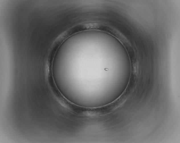 X0000110920733200906251417
