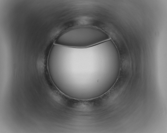 X0000110920736200906251417