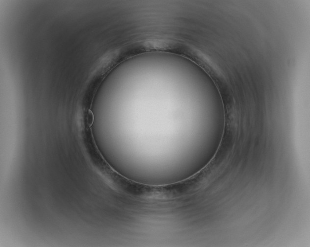 X0000110920738200906251417