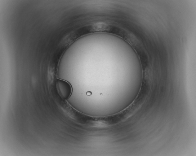 X0000110920741200906251418