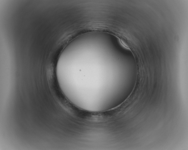 X0000110920744200906251418