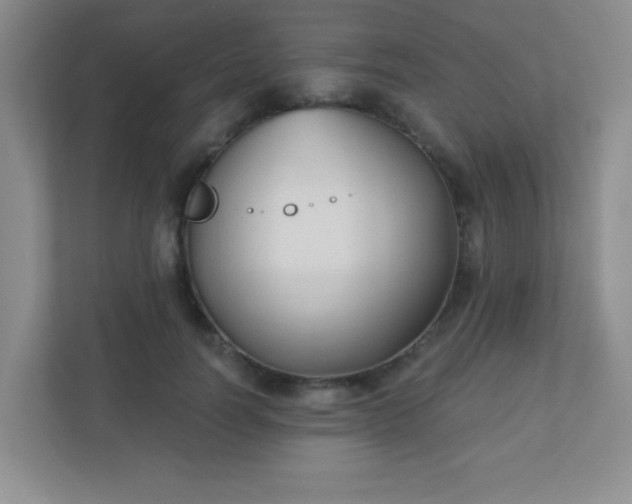 X0000110920746200906251418