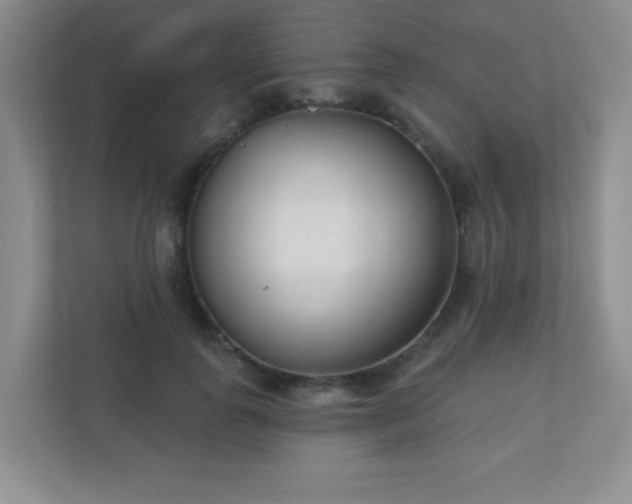 X0000110920747200906251418