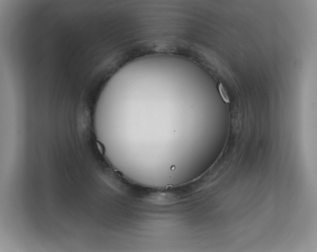 X0000110920748200906251418