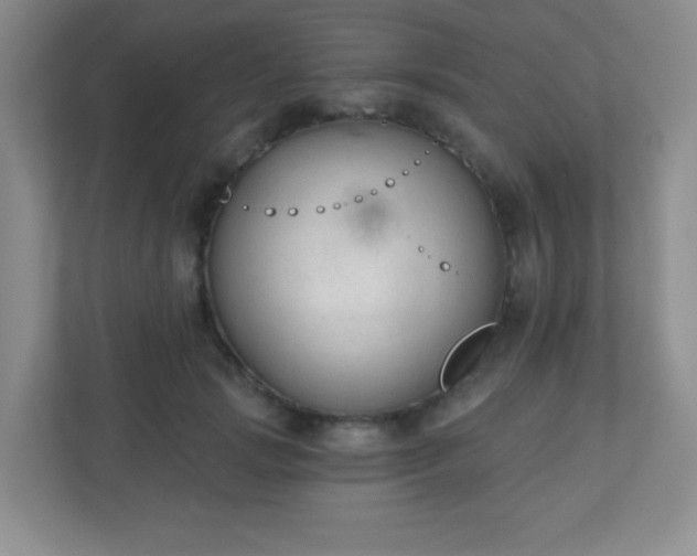X0000110920749200906251418