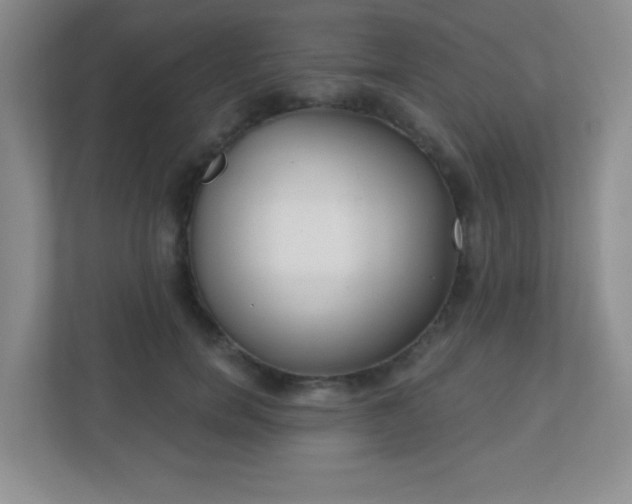 X0000110920750200906251418