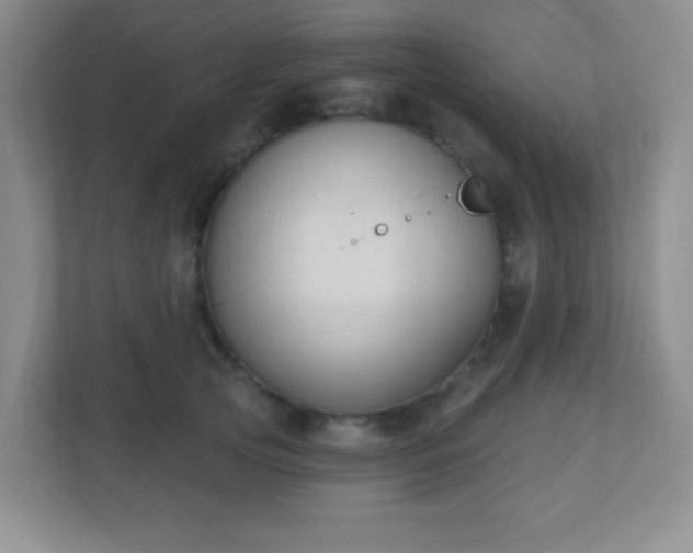 X0000110920753200906251418