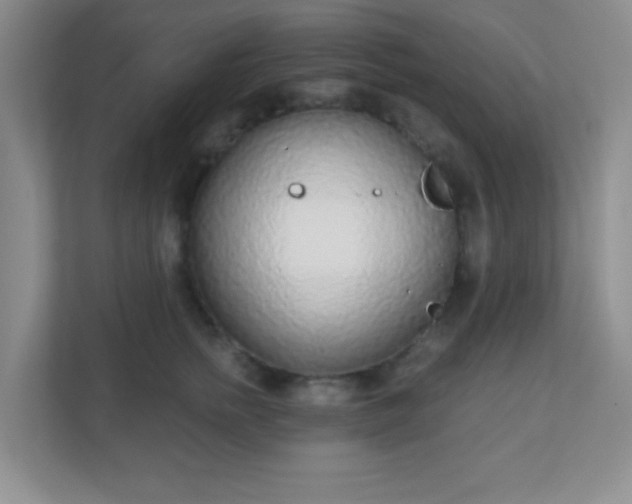X0000110920758200906251418