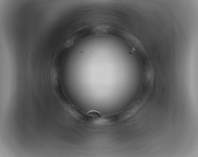 X0000110920759200906251418