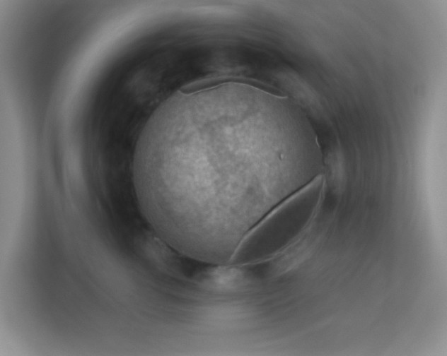 X0000110920762200906251418