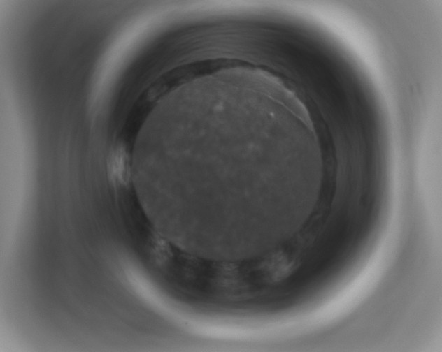 X0000110920766200906251418