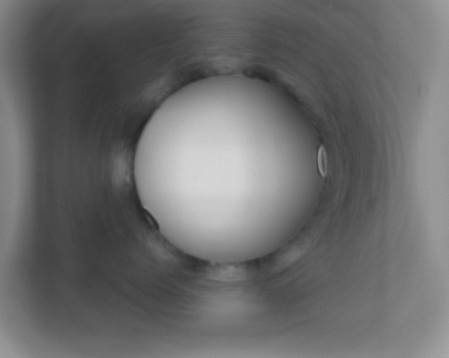 X0000110920768200906251418