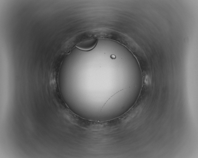 X0000110920771200906251417