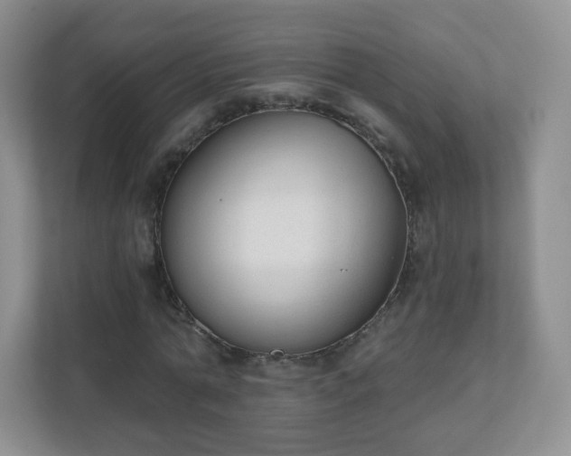 X0000110920774200906251417